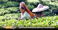 Centre launches NCVET-approved skill courses on tea sommeliers and tea tasting