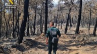 ¿A qué penas se enfrentan los incendiarios detenidos por la Guardia Civil en Cáceres?