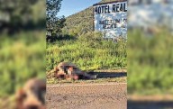 Identifican a los cinco muertos de Temósachic