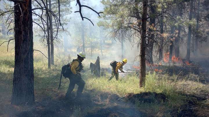 A firefighter dies after a cardiac emergency in the line of duty at the Grand Canyon