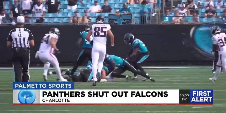 Panthers shut out Falcons with a 30