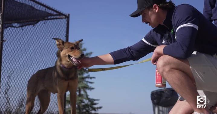 Providence students lend a hand at animal adoption center