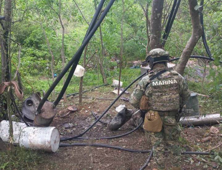 Semar asegura 21 toneladas de metanfetaminas en Durango