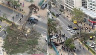 Gran árbol cae sobre dos vehículos en plena Avenida Irarrázabal de Ñuñoa