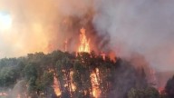 Santa Fe será sede del 1º Encuentro Nacional de Manejo del Fuego