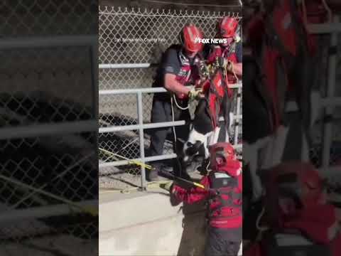 Firefighters rescue dog trapped in California aqueduct #shorts #foxnews #news #us