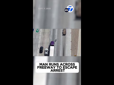 Man runs across freeway to escape arrest