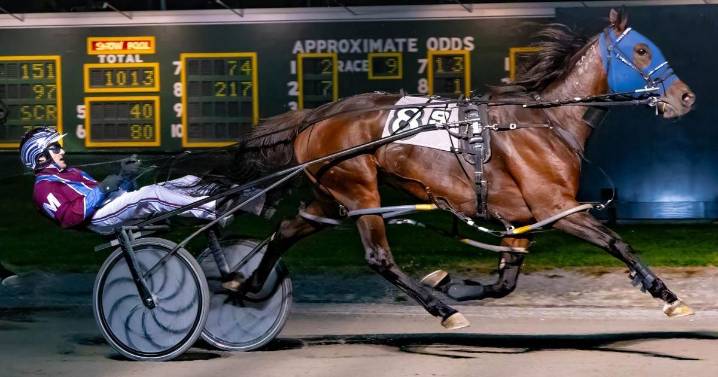 Delta Three N remains peerless at Batavia Downs
