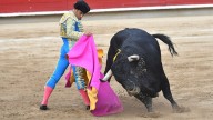 Tauromaquia en el mundo: ¿qué oculta la industria de las corridas de toros? Diferentes perspectivas