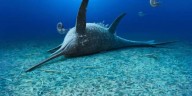 Un reptil jurásico hallado en Alemania revela secretos de la vida marina de hace 180 millones de años
