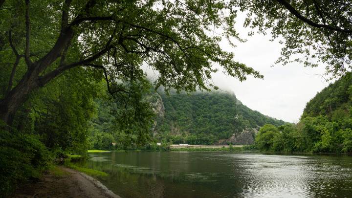 Man Drowns While Trying To Swim Across River Near Family Picnic Area