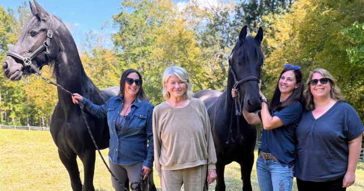 A 'good thing': Martha Stewart adopts two 'rescued' Vermont  Friesians