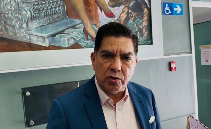 Críticas a alianza entre Verde y Morena no son nuevas, pero alianza sigue firme: Borunda