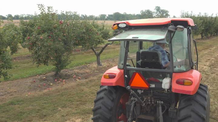 Dry but thriving: Apple orchard says harvest is great, despite drought