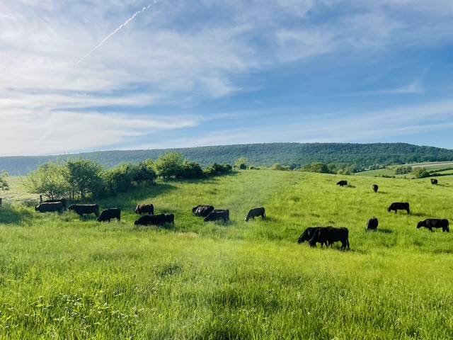 LaFaver Family Farm set to expand with funding help from local agency