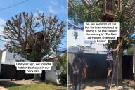 They Thought It Was Just a Tree in Their Yard—Then Discovered the Treehouse