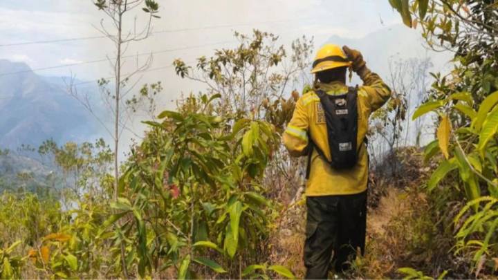 Cundinamarca: 15 incendios forestales azotan 8 municipios en dos días