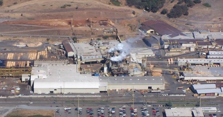 Roseburg Forest Products lays off 100+ workers, closes one Dillard plant