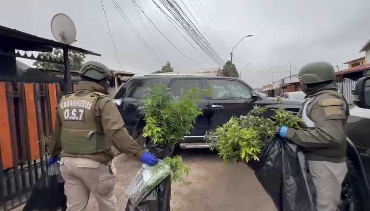 Operativo por tráfico de drogas y homicidio: 25 casas fueron allanadas en Rancagua