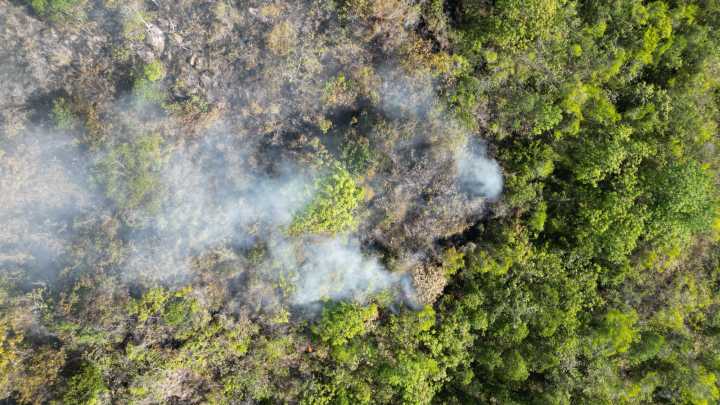 Alerta por incendios forestales provocados en San Francisco, Neiva