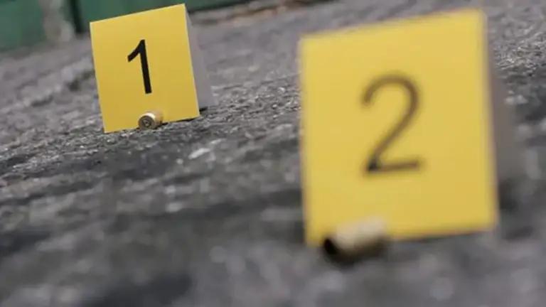 Tasa de criminalidad en Venezuela se reduce: Remigio Ceballos anuncia una baja del 23.5%