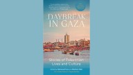 Daybreak in Gaza: Stories of Palestinian Lives and Culture