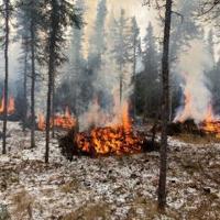 Controlled burn on Nenana Ridge
