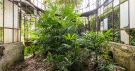 “Secret Gardens”: I Photographed Abandoned Greenhouses Around The World (19 Pics)