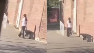 Estudiante de 14 años ingresó armada a colegio y efectuó disparos al aire en Argentina
