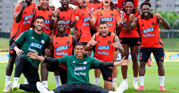¿Qué sigue para Colombia tras lograr la clasificación al Mundial? ¿Cuándo vuelve a jugar y contra quién?
