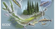 Northern Arizona University study looks at how interactions between diatoms and bacteria contribute to an ecosystem
