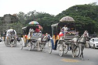 Couples enjoy Tonga Ride