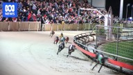 Community farewells Dapto Dogs after 90 years of greyhound racing
