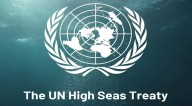 HIGH SEAS TREATY: First treaty to protect international waters