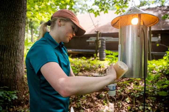 Experts: West Nile activity could increase this year, but state has a ‘scattered’ mosquito response