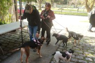 Videos y fotos: vacunan perros en Concepción por el Día Mundial de la Prevención contra la Rabia