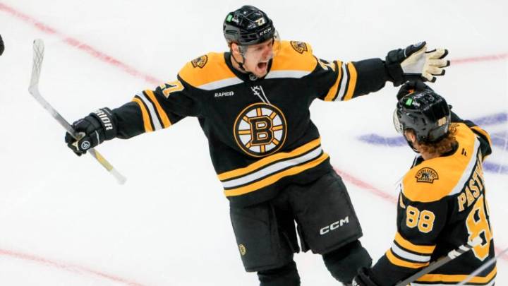 A healthy Lindholm could change Bruins' fortunes in several areas