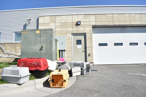 Meth burn by FBI smokes out Montana animal shelter