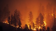 Calentamiento global: estudio reveló que los incendios forestales extremos que antes ocurrían cada 500 años ahora se repiten cada 15