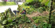 Más de 190 metros cúbicos de residuos retirados en jornadas de limpieza de laderas en Armenia