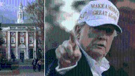 Defeats are stacking up for Trump as Maga loses faith