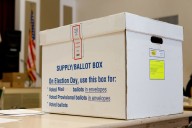 California Woman Charged After Her Dog Allegedly Voted in Two Elections