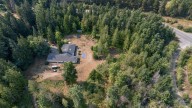 Butterfly World on Vancouver Island up for sale for $2.3M 