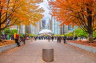 This map can tell you when fall foliage will peak in Chicago