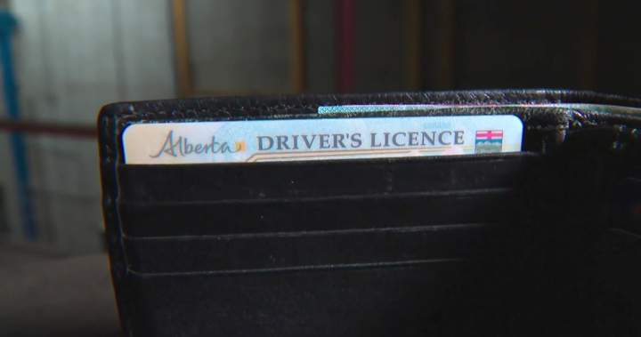 Immigration lawyer, critics raise concerns about citizenship marker on Alberta ID