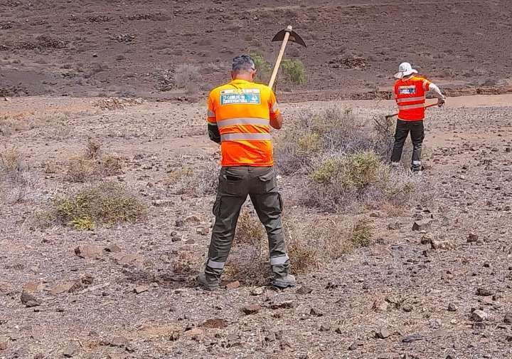 'Fuerte por Naturaleza' empieza a rehabilitar el paisaje de Valle Grande