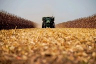 Republicanos piden ayuda urgente para agricultores ante crisis de precios y guerra comercial