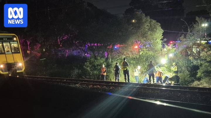 Teenage boy injured after falling from train in Sydney's south