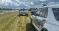 2 men, 2 dogs found dead after apparent lightning strike in Highlands County: HCSO