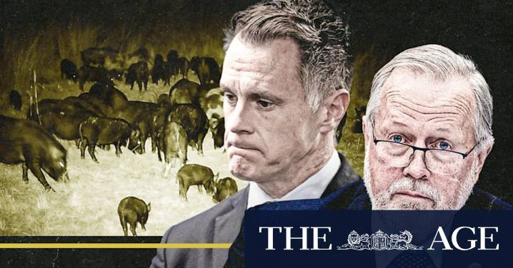 NSW Hunting Bill: Coalition divided as Liberals accuse Minns of 'US